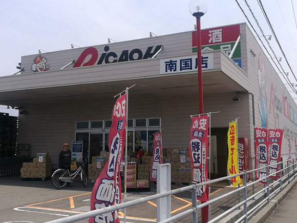 リカオー南国店